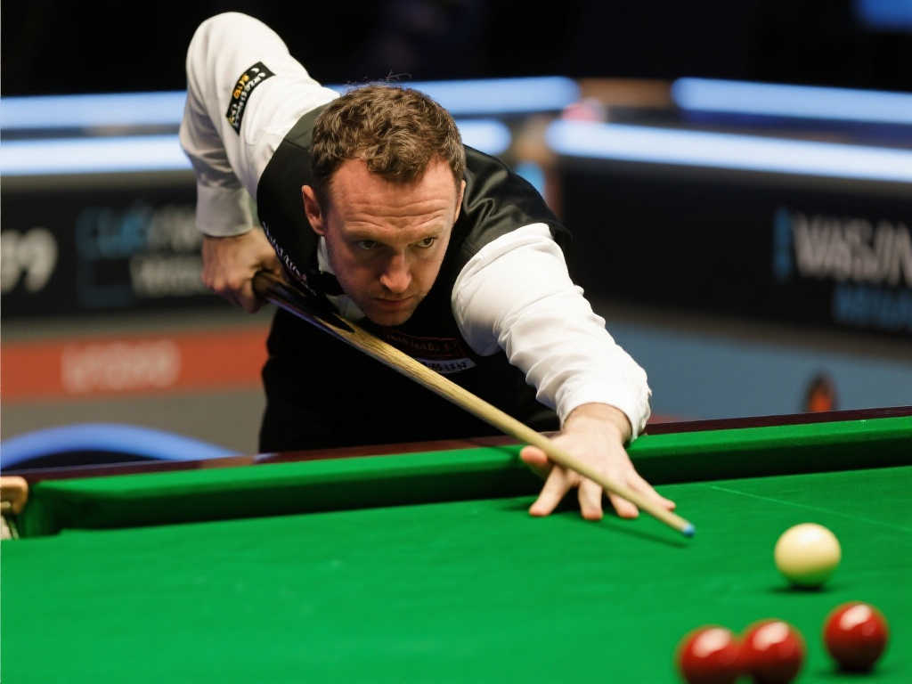 们提供了一 们提供了一